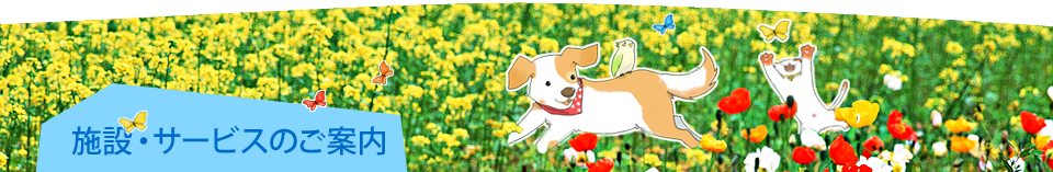 施設・サービスのご案内