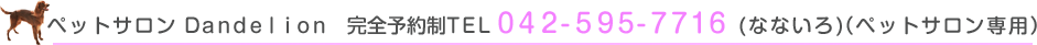 ペットサロン案内
