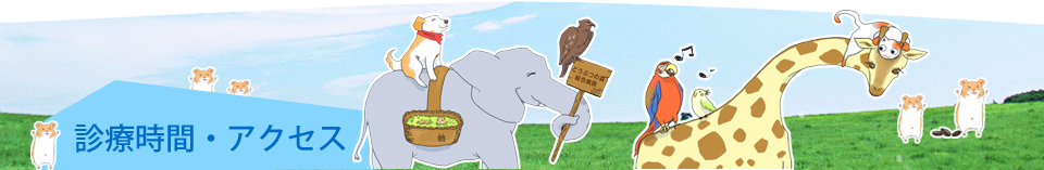 診療時間・アクセス